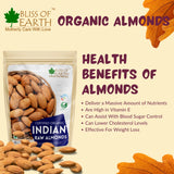 Indian Almonds