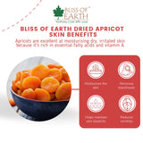 Exotic Jumbo Turkish Apricots