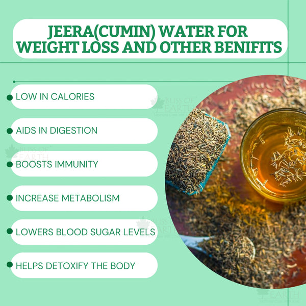 Cumin Whole (Sabut Jeera)