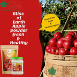 Apple Powder + REB-A Purity Stevia Powder (200gm)  Combo (Pack of 2)