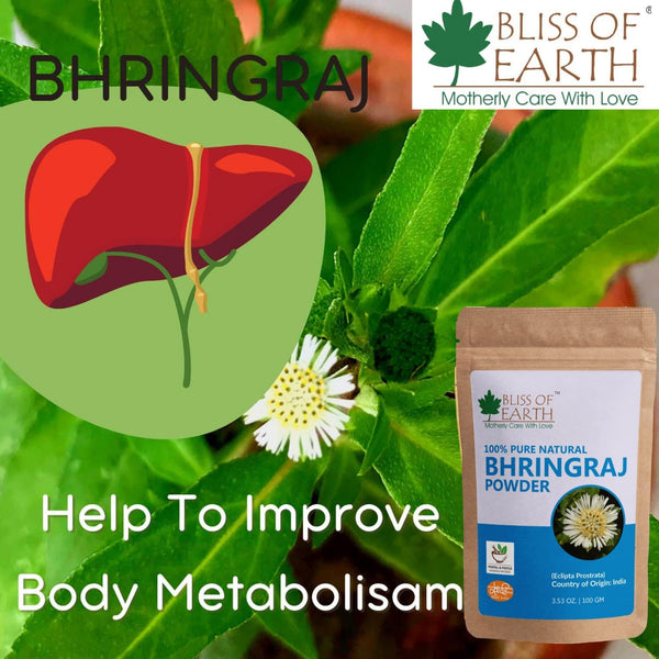 Bhringraj Powder + Reetha (Aritha) Powder (Pack of 2x100gm)