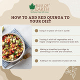 Bliss of Earth 500gm Organic White Quinoa For Weight Loss, Raw Super food For whole family healthy meal