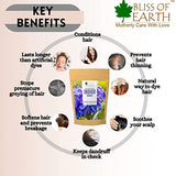 Organic Indigo Powder 453gm