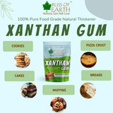 Xanthan Gum Powder 453 gm