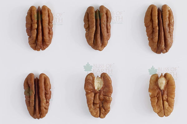 Mexican Pecan Nut 1KG