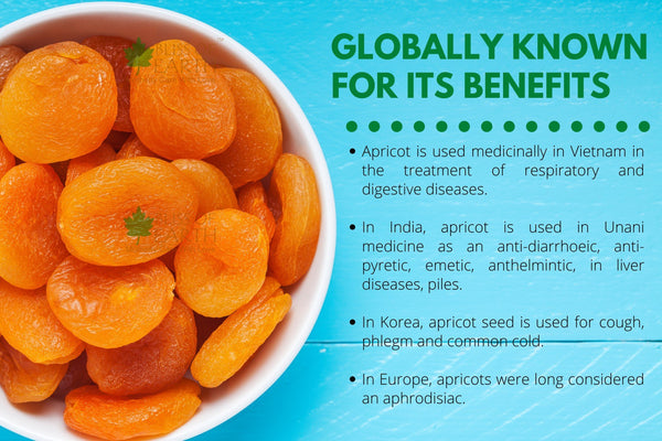 Exotic Jumbo Turkish Apricots 1kg