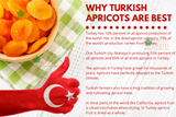 Exotic Jumbo Turkish Apricots 1kg