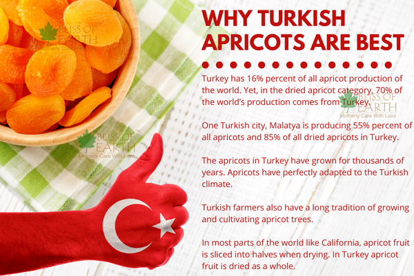 Exotic Jumbo Turkish Apricots 1kg
