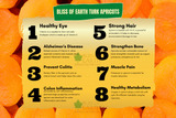 Exotic Jumbo Turkish Apricots 1kg