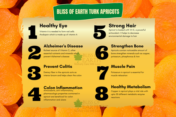 Exotic Jumbo Turkish Apricots 1kg