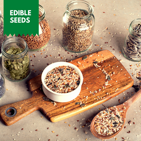Edible Seeds