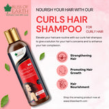 Curls Hair Shampoo