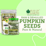 Natural Raw Pumpkin Seeds