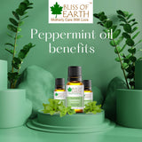 Eucalyptus & Peppermint Essential Oils Combo 10ml Each  & Bug Repelling (Pack of 2)