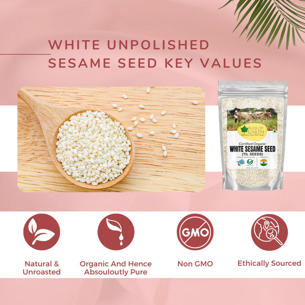 White  Sesame Seeds