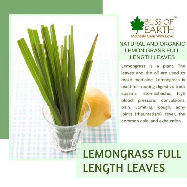 Lemon Grass Leaves