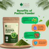 Pudina (Mint) Powder