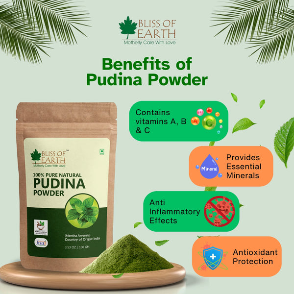 Pudina (Mint) Powder