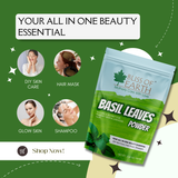 Basil Leaf Powder