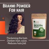 Brahmi Powder