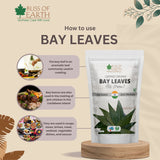 Indian Bay Leaves (Tej Patta)