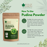 Pudina (Mint) Powder