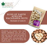 Macadamia Nuts