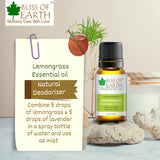 Lemongrass Essential Oil