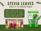 Bliss of Earth Organic Dried Basil Leaves Tulsi leaf & Organic Stevia Leaves Dried, Natural & Sugarfree Great Health & Immunity Combo Each 100g