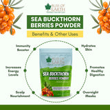 Bliss of Earth Sea buckthorn Berry Powder 100gm – Fine Himalayan Powder from Whole Sea buckthorn Berry, Easy to Mix in Drinks, Smoothies, Meals – No Added Sugar