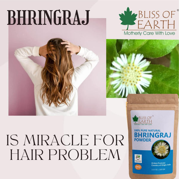 Bliss of Earth 100gm Bhringraj Powder Orgnaic & Pure Reetha Powder | 100GM | Aritha Powder |Natural Great for Hair