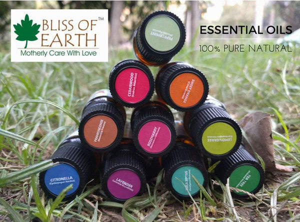 Bliss of earth 100% Pure Lavender Essential Oil & Citronella Natural Essential oil combo (10ml) therapeutic Grade (pack of 2)