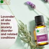 Bliss of earth 100% Pure Lavender Essential Oil & Citronella Natural Essential oil combo (10ml) therapeutic Grade (pack of 2)