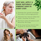 Bliss of Earth Indigo Powder 100gm Organic Natural For Hair Black Organic Hair Dye