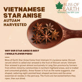 Bliss of earth 500gm Vietnamese Star anise (Chakri Phool) + 400gm Sri Lanka Ceylon Cinnamon Stick Whole Spices, for Exotic Tea, Indian & Chinese Cuisine