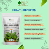 Dried Basil Leaves (Tulsi Leaf) + Stevia Leaves Dried (Combo Pack Each 100g)