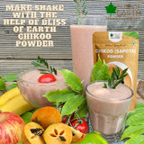 Bliss of Earth 1kg Chikoo (Sapota) Powder + 1kg Coconut Milk Powder Natural Spray Dried(Pack of 2)