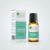 Eucalyptus Essential Oil