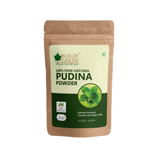 Pudina (Mint) Powder 100GM