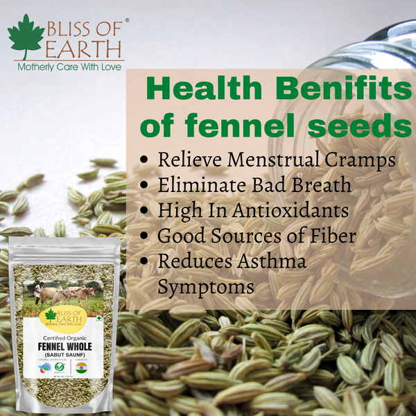 Bliss of earth   Organic Fennel Seed (Saunf) 200gm