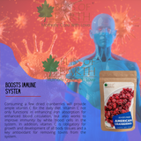 Bliss of Earth 500gm Sliced Dried American Cranberries Exotic Dry Fruit Vitamins E, K & C Rich