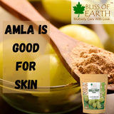 Organic Amla Fruit Powder 453gm