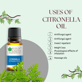 Citronella Essential Oil 10ML