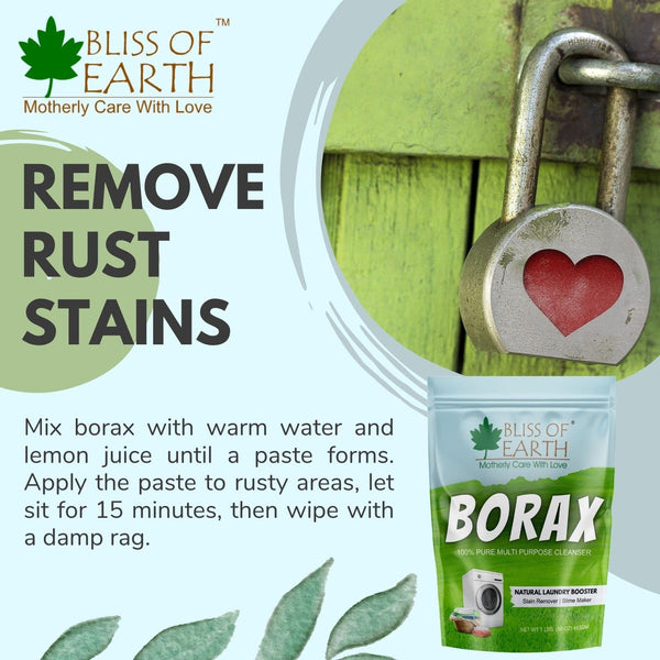 Bliss of Earth American Borax Detergent Booster Powder 453GM