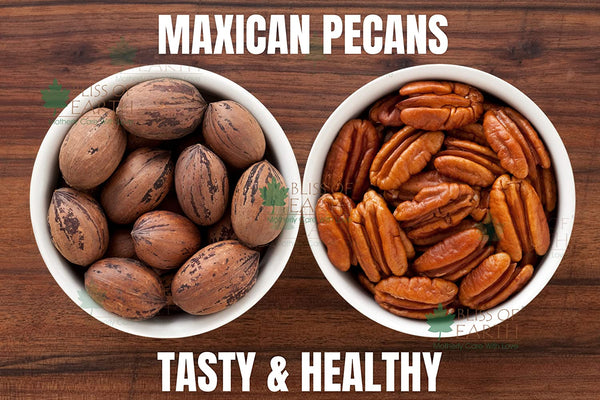 Mexican Pecan Nut 500gm