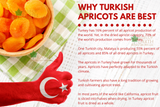 Bliss of Earth Exotic Jumbo Turkish Apricots 500gm